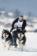 p-f.ch_120211_1335_8001_1D