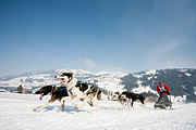 p-f.ch_120211_1336_0791_5D