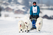 p-f.ch_120211_1336_8045_1D