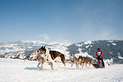 p-f.ch_120211_1338_0792_5D