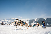 p-f.ch_120211_1339_0793_5D