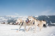 p-f.ch_120211_1340_0794_5D