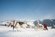 p-f.ch_120211_1343_0795_5D