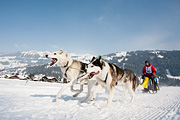 p-f.ch_120211_1343_0796_5D