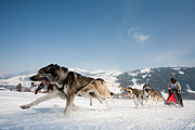 p-f.ch_120211_1344_0797_5D