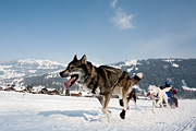 p-f.ch_120211_1344_0798_5D