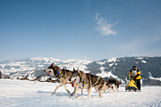 p-f.ch_120211_1345_0799_5D
