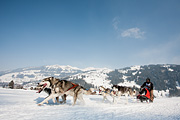p-f.ch_120211_1346_0800_5D