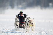 p-f.ch_120211_1346_8194_1D