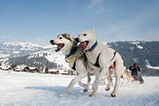 p-f.ch_120211_1347_0801_5D