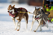 p-f.ch_120211_1353_8223_1D