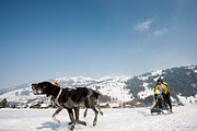 p-f.ch_120211_1357_0806_5D