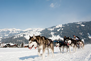 p-f.ch_120211_1359_0808_5D