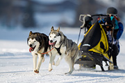 p-f.ch_120211_1403_8314_1D