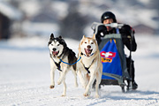 p-f.ch_120211_1404_8324_1D