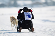 p-f.ch_120211_1404_8333_1D