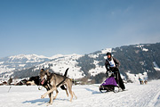 p-f.ch_120211_1407_0812_5D