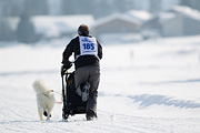 p-f.ch_120211_1413_8397_1D