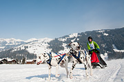 p-f.ch_120211_1417_0817_5D