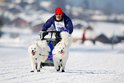 p-f.ch_120211_1417_8444_1D