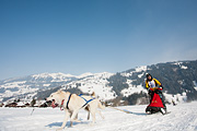 p-f.ch_120211_1419_0821_5D