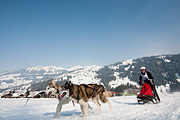 p-f.ch_120211_1421_0825_5D