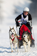 p-f.ch_120211_1421_8503_1D