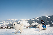 p-f.ch_120211_1422_0826_5D