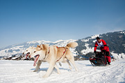p-f.ch_120211_1437_0834_5D