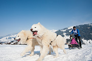 p-f.ch_120211_1437_0836_5D