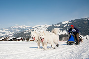 p-f.ch_120211_1443_0844_5D