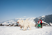 p-f.ch_120211_1448_0847_5D