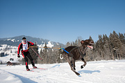 p-f.ch_120212_1007_0851_5D