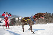p-f.ch_120212_1012_0855_5D