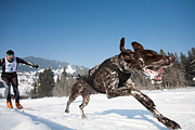 p-f.ch_120212_1013_0856_5D
