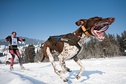 p-f.ch_120212_1015_0858_5D