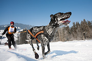 p-f.ch_120212_1016_0859_5D