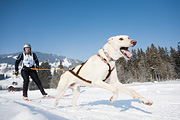 p-f.ch_120212_1019_0861_5D