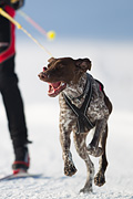 p-f.ch_120212_1022_8812_1D