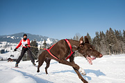 p-f.ch_120212_1023_0865_5D