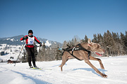 p-f.ch_120212_1027_0867_5D