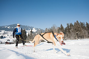 p-f.ch_120212_1032_0871_5D