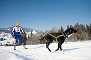 p-f.ch_120212_1036_0873_5D
