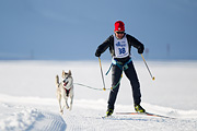 p-f.ch_120212_1037_8928_1D