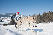 p-f.ch_120212_1038_0874_5D