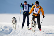 p-f.ch_120212_1038_8950_1D