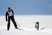 p-f.ch_120212_1040_8969_1D