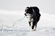 p-f.ch_120212_1040_8983_1D