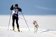 p-f.ch_120212_1042_9019_1D
