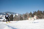 p-f.ch_120212_1043_0878_5D